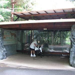 Australia Zoo 2007 - Front of the Red Fox exhibit