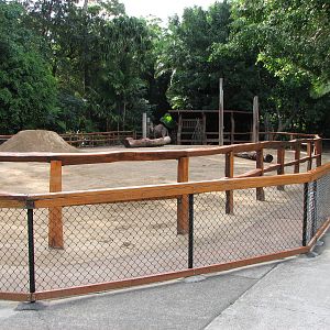 Australia Zoo 2007 - Arabian Camel enclosure