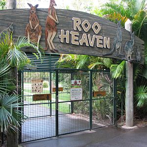 Australia Zoo 2007 - Entrance to Roo Heaven