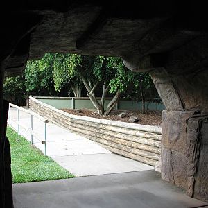 Australia Zoo 2007 - Short-becked Echinda exhibit