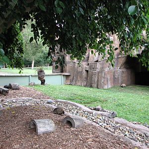 Australia Zoo 2007 - Short-becked Echinda exhibit