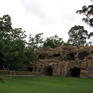 Australia Zoo 2007 - Roo Heaven