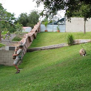 Australia Zoo 2007 - Part of the Wombat exhibit