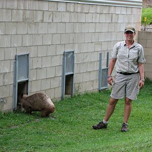 Australia Zoo 2007 - Keeper with a Wombat