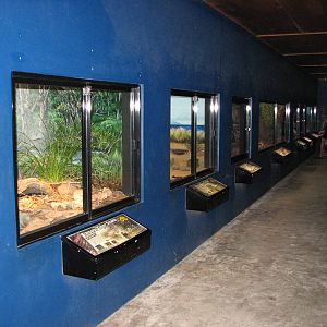 Australia Zoo 2007 - Inside the Snake House