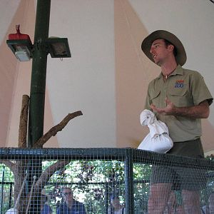 Cairns Tropical Zoo 2007 -Snake show