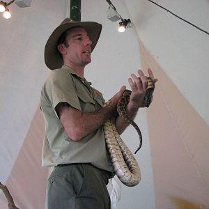 Cairns Tropical Zoo 2007 - Snake show