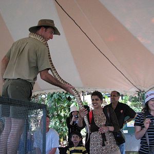 Cairns Tropical Zoo 2007 - Snake show