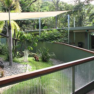 Cairns Tropical Zoo 2007 - Front of Red Panda exhibit