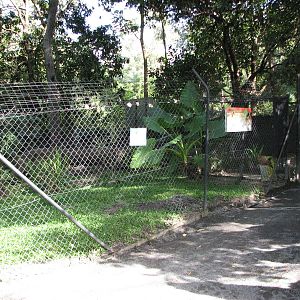 Cairns Tropical Zoo 2007 - Dingo Enclosure