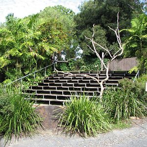 Cairns Tropical Zoo 2007 - Birds of Prey show