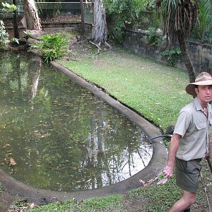 Cairns Tropical Zoo 2007 Saltwater Crocodile feeding session