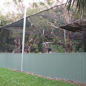 Cairns Tropical Zoo 2007 - Aviary
