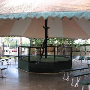 Cairns Tropical Zoo 2007 - Stage in the animal show tent