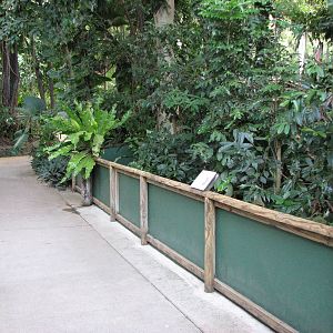 Cairns Tropical Zoo 2007 - Mixed enclosure for Monitors and Lizards