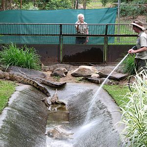 Cairns Tropical Zoo 2007 - Keeper washes the Freshwater Crocodile enclosure