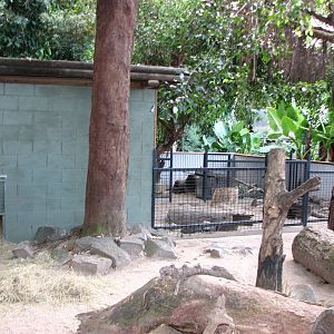 Cairns Tropical Zoo 2007 - Common Wombat enclosure