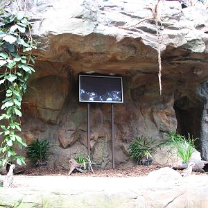 Cairns Wildlife Dome 2007 - Animal show stage