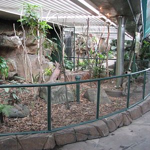 Cairns Wildlife Dome 2007 - Sideview of the mixed Lizard exhibit