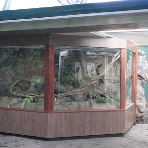 Cairns Wildlife Dome 2007 - Boa enclosure