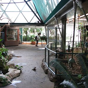 Cairns Wildlife Dome 2007 - General view inside the Dome