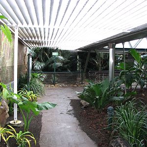 Cairns Wildlife Dome 2007 - General view inside the Dome