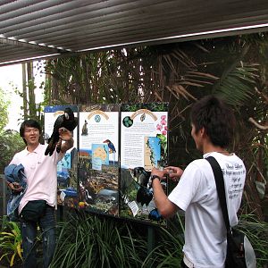 Cairns Wildlife Dome 2007 - General view inside the Dome