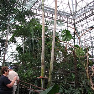 Cairns Wildlife Dome 2007 - General view inside the Dome