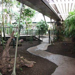 Cairns Wildlife Dome 2007 - General view inside the Dome