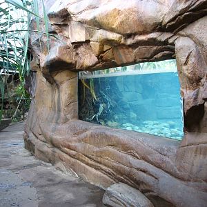 Cairns Wildlife Dome 2007 - Window into the Saltwater Crocodile exhibit