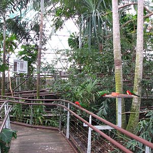 Cairns Wildlife Dome 2007 - General view inside the Dome
