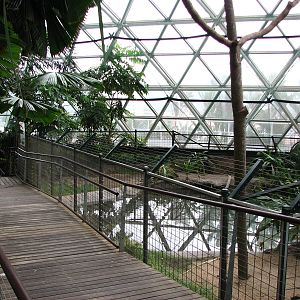 Cairns Wildlife Dome 2007 - Saltwater Crocodile exhibit