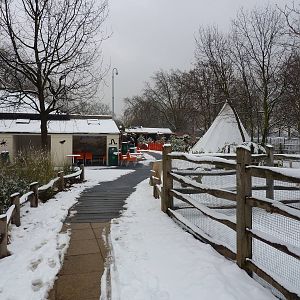 Animal Adventure in the snow