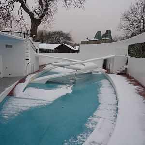 Lubetkin's Penguin pool
