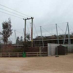 Snow Leopard exhibit construction at Twycross 24/01/10