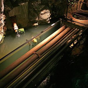 The sewer