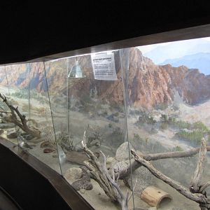 Small Animals Exhibit