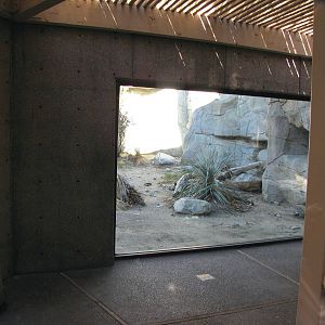 Mountain Lion Habitat