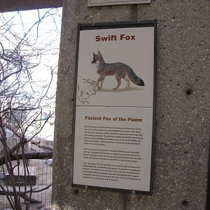 Swift Fox