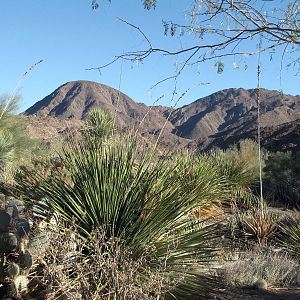 The Surrounding Landscape