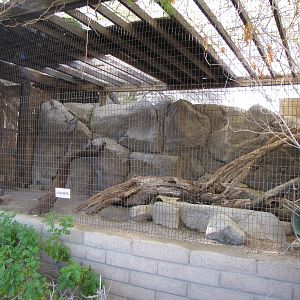 Arabian Wild Cat Enclosure
