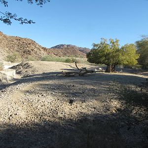Arabian Oryx Habitat