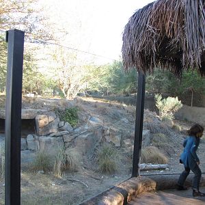 African Wild Dog Habitat