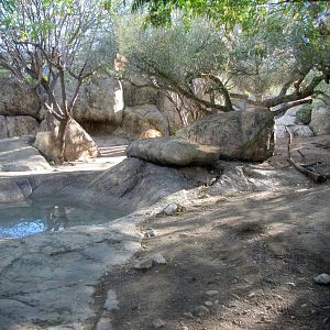 Leopard Enclosure