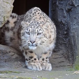 Beautiful Irina . . .