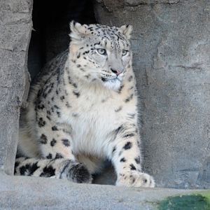 . . . and her future mate Indeever