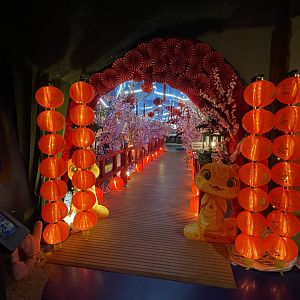 chinese new year themed tunnel (entrance)