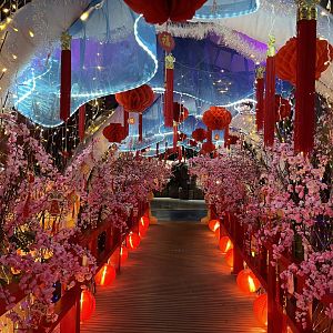 chinese new year themed tunnel