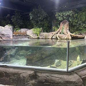 waterfall basin tank