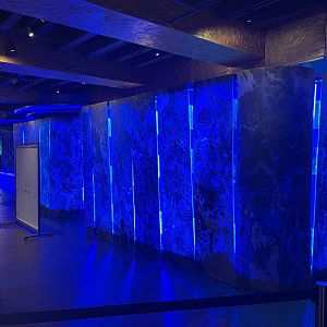 southern sea tank (closed for private dining)